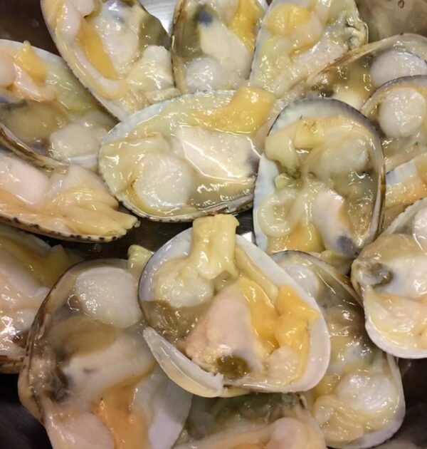 Premium Frozen Abalone